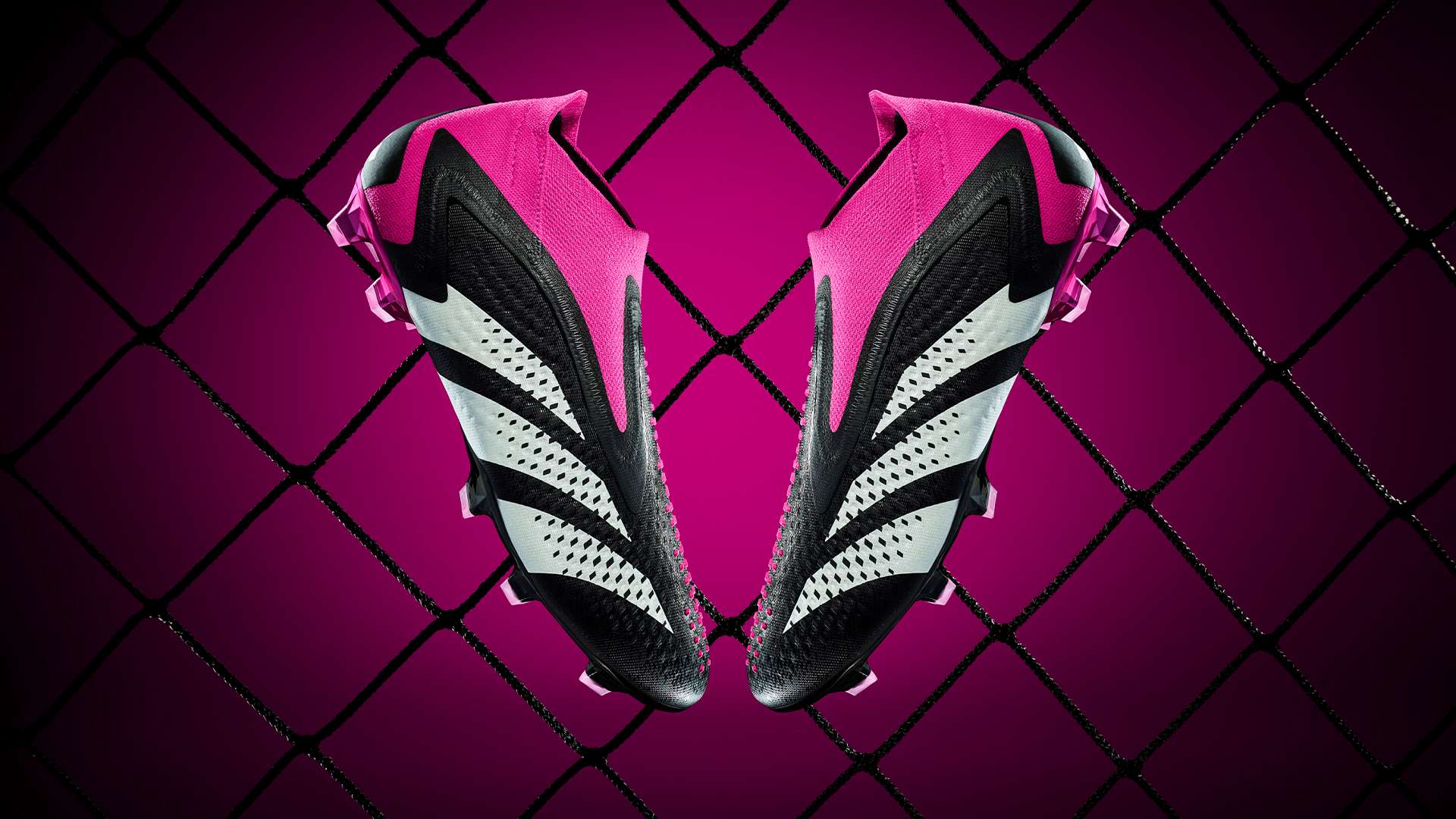 重新审视 重新审视